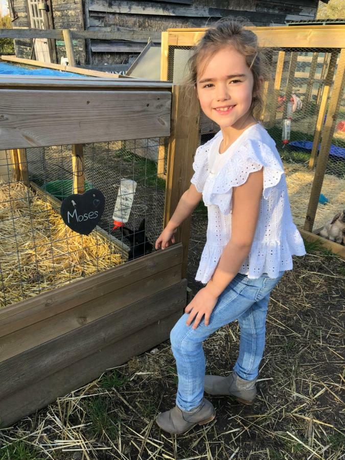 Willow Court Farm The Lodge & Petting Farm, 8 Mins From Legoland & Windsor, 15 Mins From Lapland Uk Exterior foto